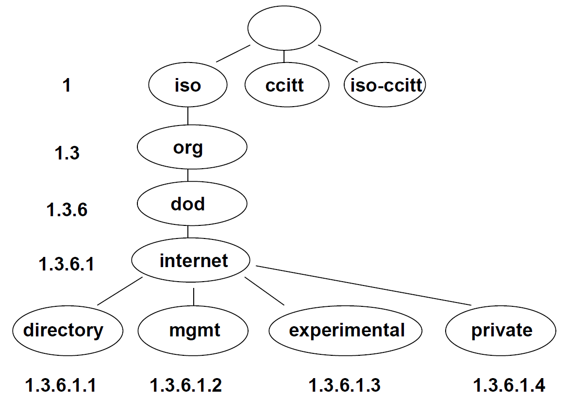 OID Basic Structure
