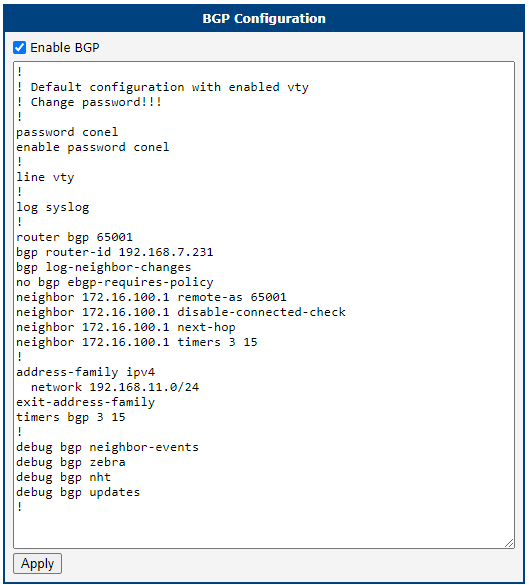 BGP configuration Router B