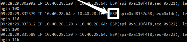 Router B — ESP packets captured by tcpdump program