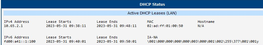 DHCP status