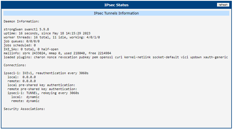 IPsec status