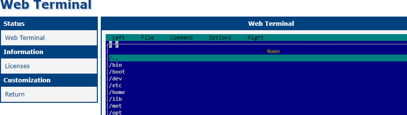 MC in Web Terminal
