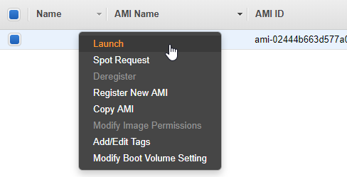 Launch the instance